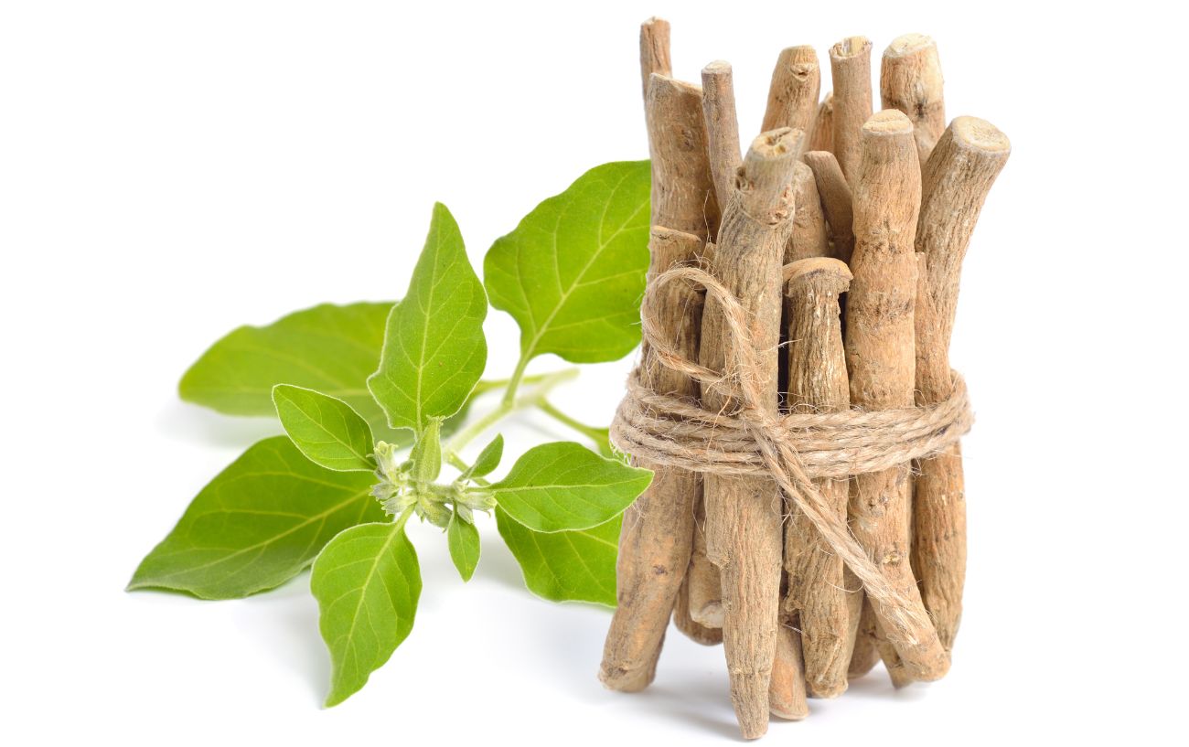 Ashwagandha root.